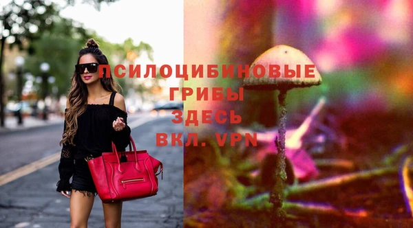 ешки Белоозёрский