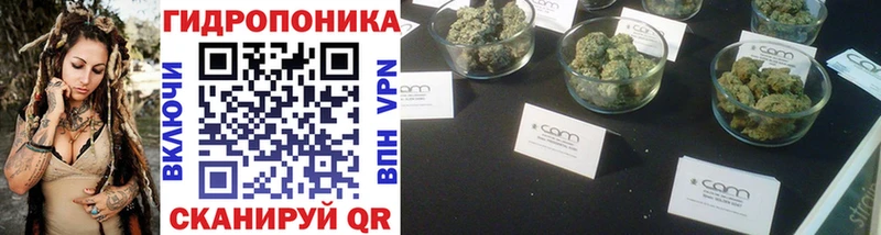 Канабис SATIVA & INDICA  Бородино 
